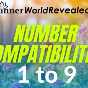 NUMBER COMPATIBILITIES 1 - 9 I Pythagorean Numerology I Aditi Ghosh I FIND COMPATIBLE NUMBERS