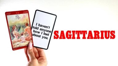 SAGITTARIUS: It’s A MATCH! Mid June General Love Reading