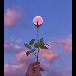 Pisces Year of The Tiger 2022