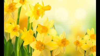 Spring Equinox and True LOVE with Lori!