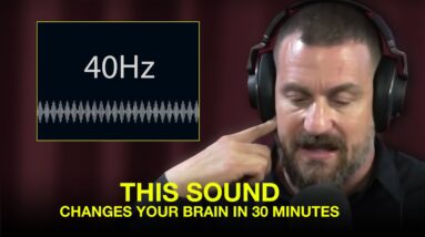 THE SCIENCE OF 40 Hz | with Dr. Andrew Huberman