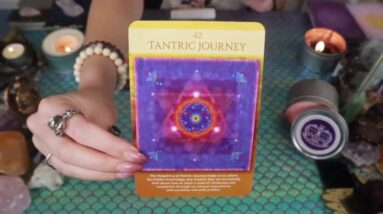 GEMINI: “YOU’VE BEEN PREPARING FOR THIS!!” YOUR JUNE TAROT READING