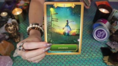 AQUARIUS: “THIS MADE ME SO HAPPY FOR YOU!! YOU’RE FINDING YOUR PARADISE!!” YOUR AUGUST TAROT READING