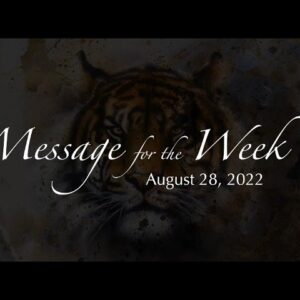 Weekly Message 28th August 2022 from Lady Casha