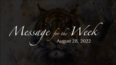 Weekly Message 28th August 2022 from Lady Casha