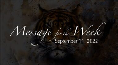 Weekly message, September 11 2022 with Lady Casha
