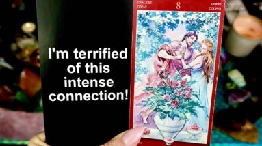 LIBRA: “THE MOMENT OF TRUTH!! I’M AFRAID TO TELL YOU THIS BECAUSE..” GENERAL LOVE READING