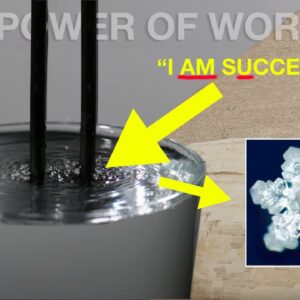 "Your Words Are The Most Powerful Force in The Universe" | USE IT WISELY!