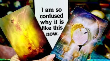 VIRGO: “OH MY!! THEY’RE ABOUT TO THROW YOU A CURVEBALL!!” DECEMBER LOVE TAROT READING