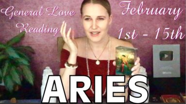ARIES: “THIS WAS NO ACCIDENT!! DIVINE INTERVENTION BROUGHT YOU TWO TOGETHER!!” February Love Reading