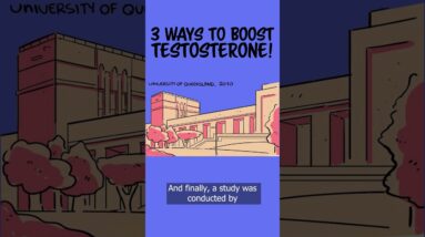 How To Increase Your Testosterone - 3 Top Tips