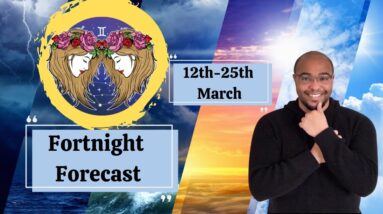 ♊️ GEMINI Fortnightly Check in - 12tH-25th March - #reydiantgemini #geminitarot