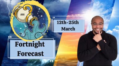 ♒️ AQUARIUS Fortnightly Check-in - 12th-25th March - #reydiantaquarius #aquariustarot