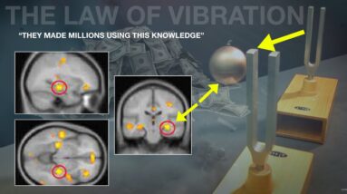 'Suddenly I started making a lot of money'  | This is How to Use THE LAW OF VIBRATION CORRECTLY