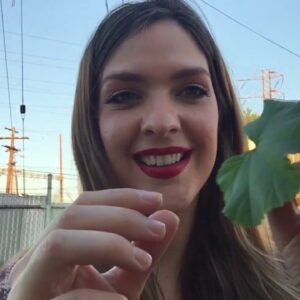 Morning Glory: The Starlet