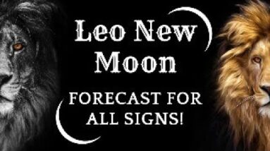 🌙🌚♌️ LEO New Moon Astrology & Tarot Forecast! ♌️🌚🌙 #Reydiantreality #Leonewmoon
