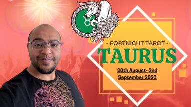 TAURUS Tarot ♉️ | STAYING IN YOUR LANE = PERSONAL PEACE ! #taurus tarot #reydianttaurus