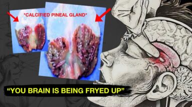 ""Your Third Eye is Being Blocked"