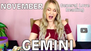 GEMINI: “WOAH GEMINI!! THIS IS DEFINITELY YOUR SOULMATE!!”