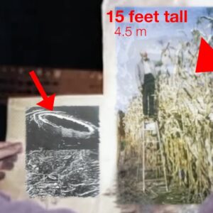 This Man Solved Our Existential Frequencies: "I matched the right frequency"