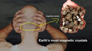 They Found Crystals in Human Brains: "They decode all the frequencies"