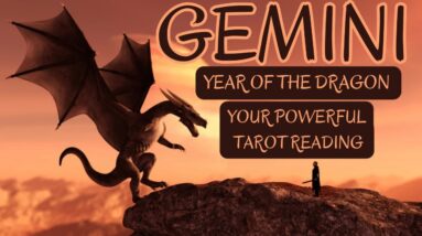 GEMINI 🐉🧧: “EVERYTHING YOU’VE BEEN FIGHTING FOR WILL BE YOURS GEMINI!! I GUARANTEE IT!!”
