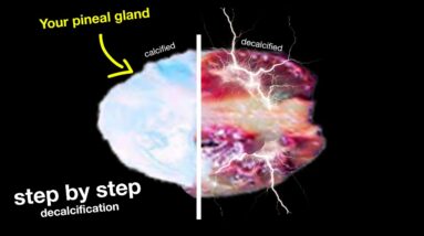 [Step by Step Decalcification] : "Once You Decalcify it, Your Frequency Changes"