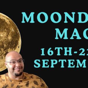🌙 MOONDAY MAGIC: The New Weekly General! #reydiantrealitytarot