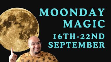 🌙 MOONDAY MAGIC: The New Weekly General! #reydiantrealitytarot