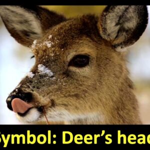 Mrigashira Nakshatra Secrets by Pai Team