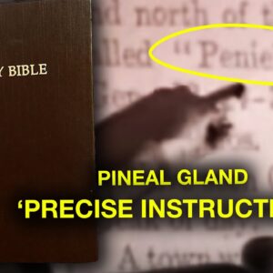 Biblical Texts Give Precise Instructions on the Pineal Gland...