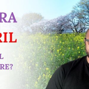 Libra April Tarot ♎️ Something ENDS NOW! Freedom reigns Libra!