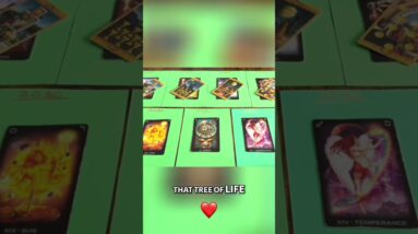 Taurus: 2029 — Whatever Is Not For You Will Be Denied